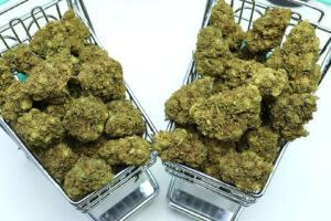 Lemon Cherry Kush CBD Blüten Kopie